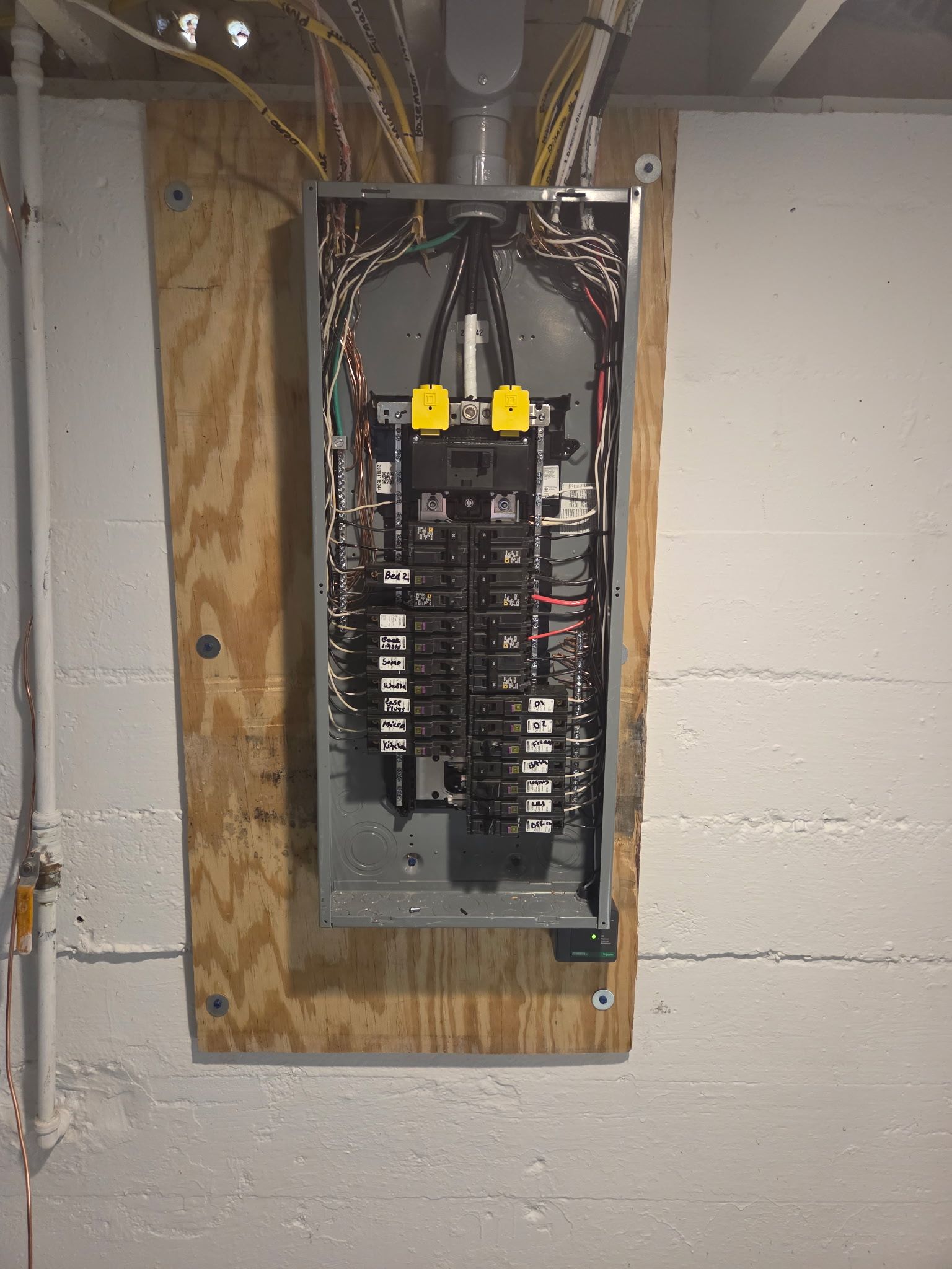 41566